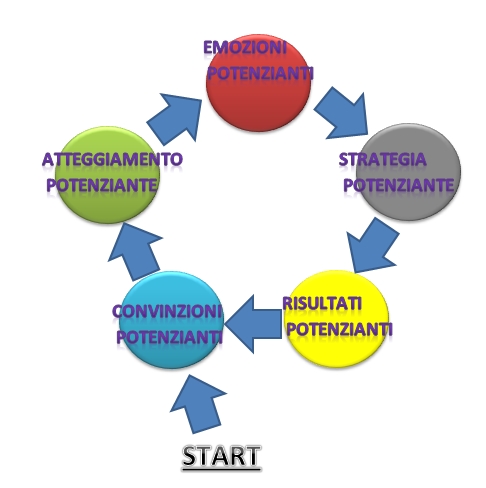 ciclo del successo 2